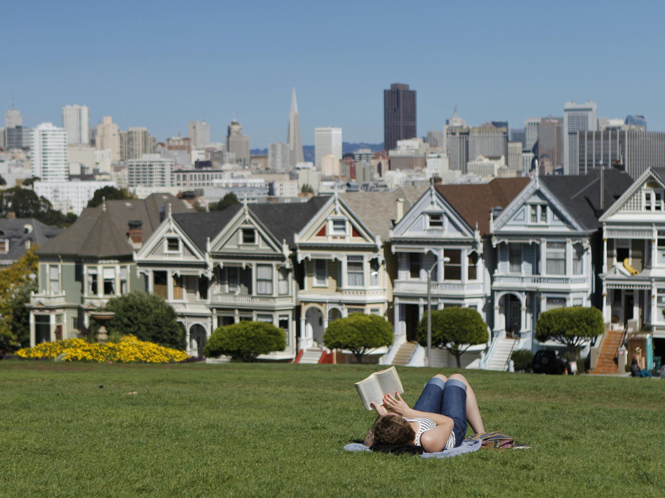 Person reading at Alamo Square Park