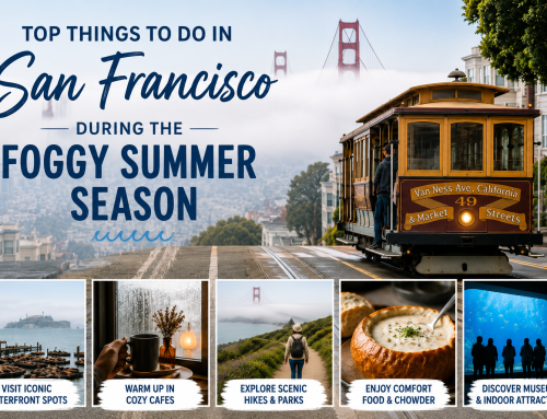 Top Things to Do in San Francisco During the Foggy Summer Season