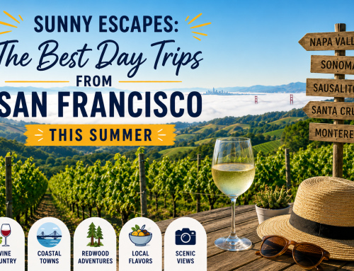 Sunny Escapes: The Best Day Trips From San Francisco This Summer
